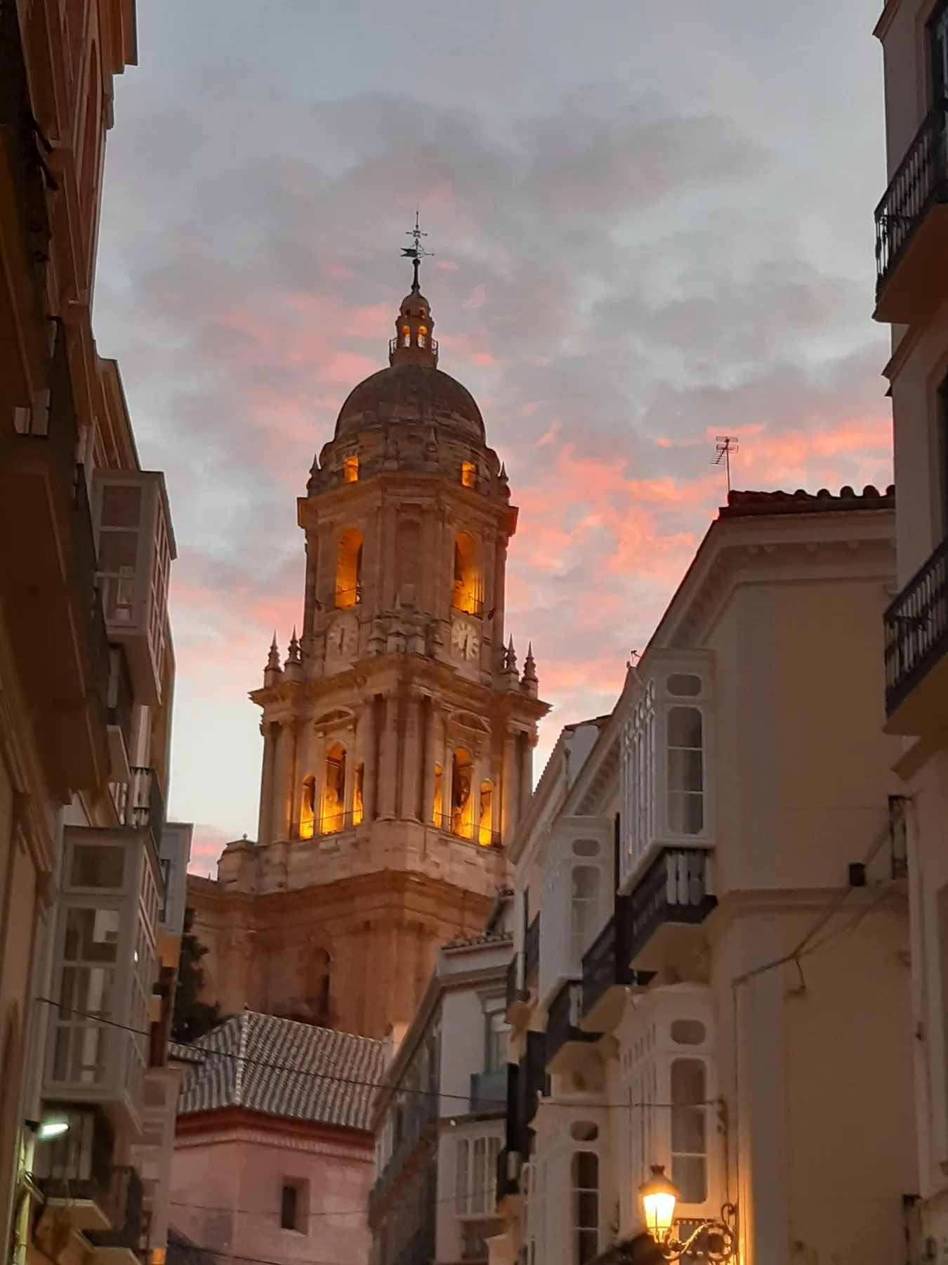 Malaga Cathedral tower at dusk