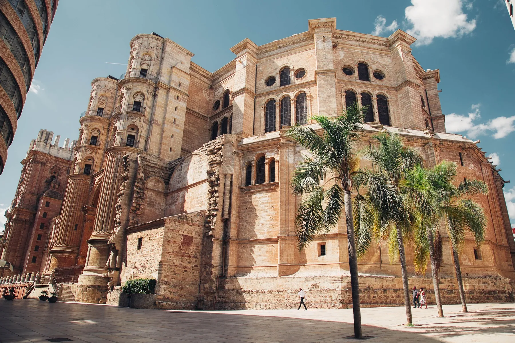 Malaga Cathedral with palm trees