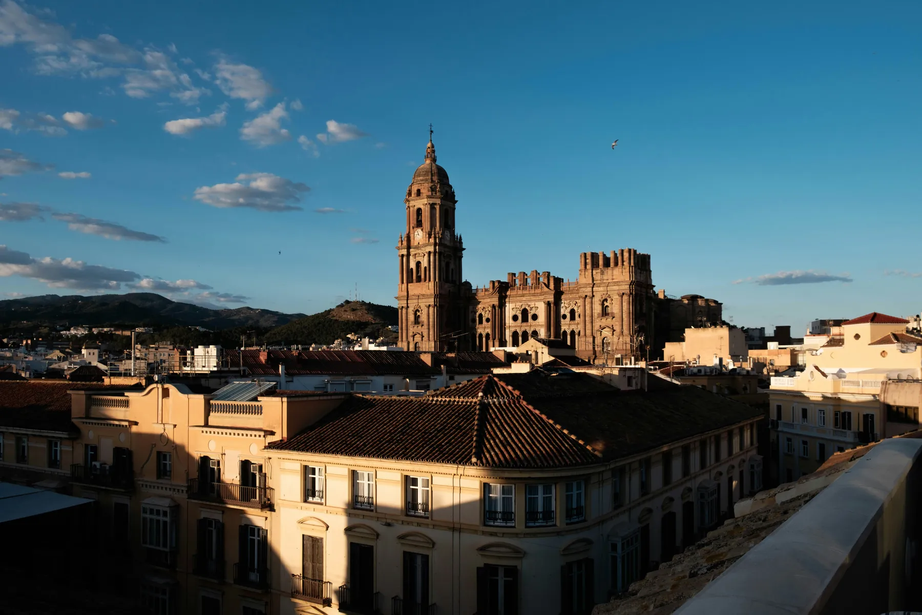 Malaga Cathedral above the historic centre