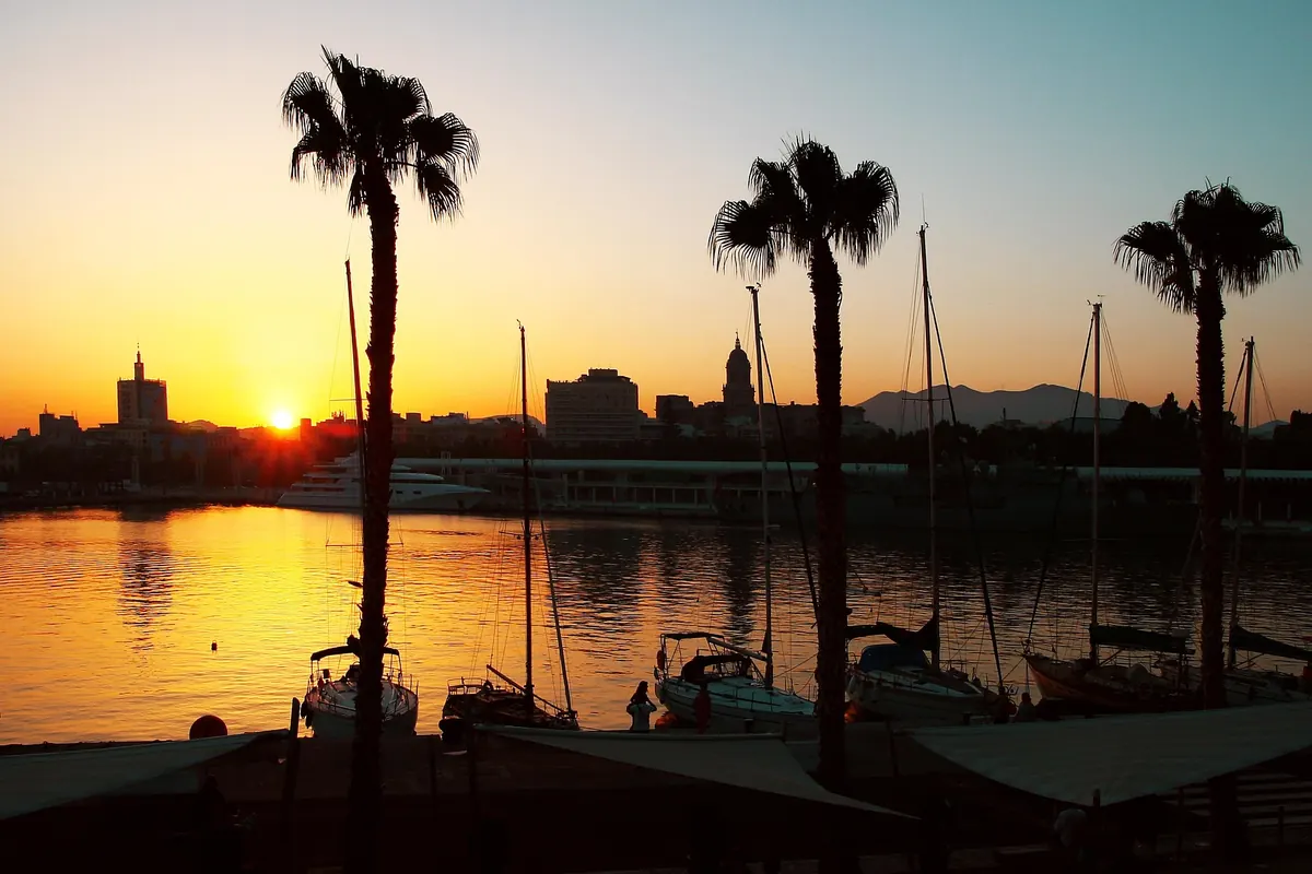 Malaga harbour at sunset with palm tree silhouettes