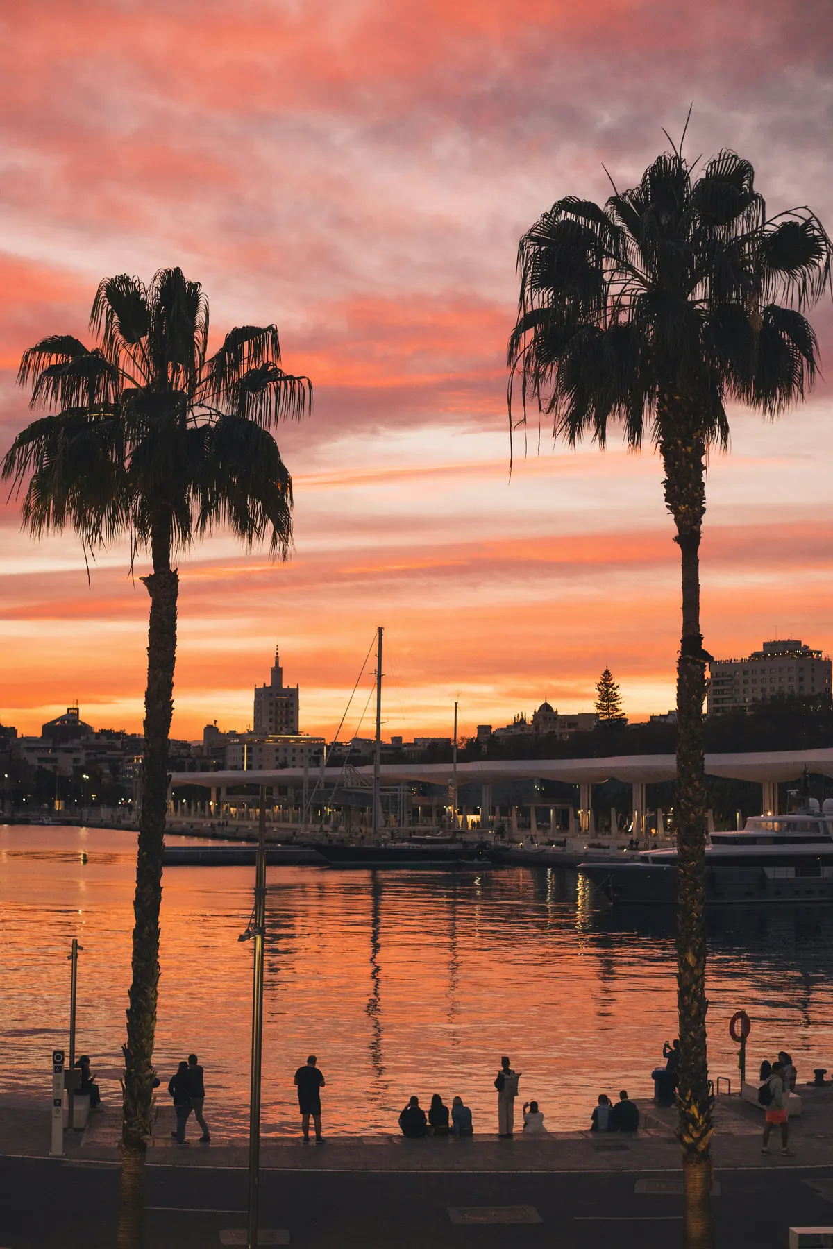 Sunset over Malaga harbour with palm trees