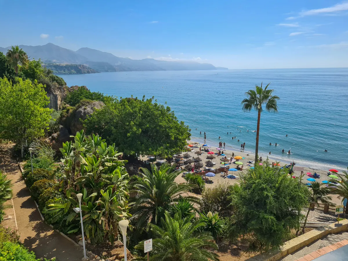 Sunny La Malagueta beach with palm trees