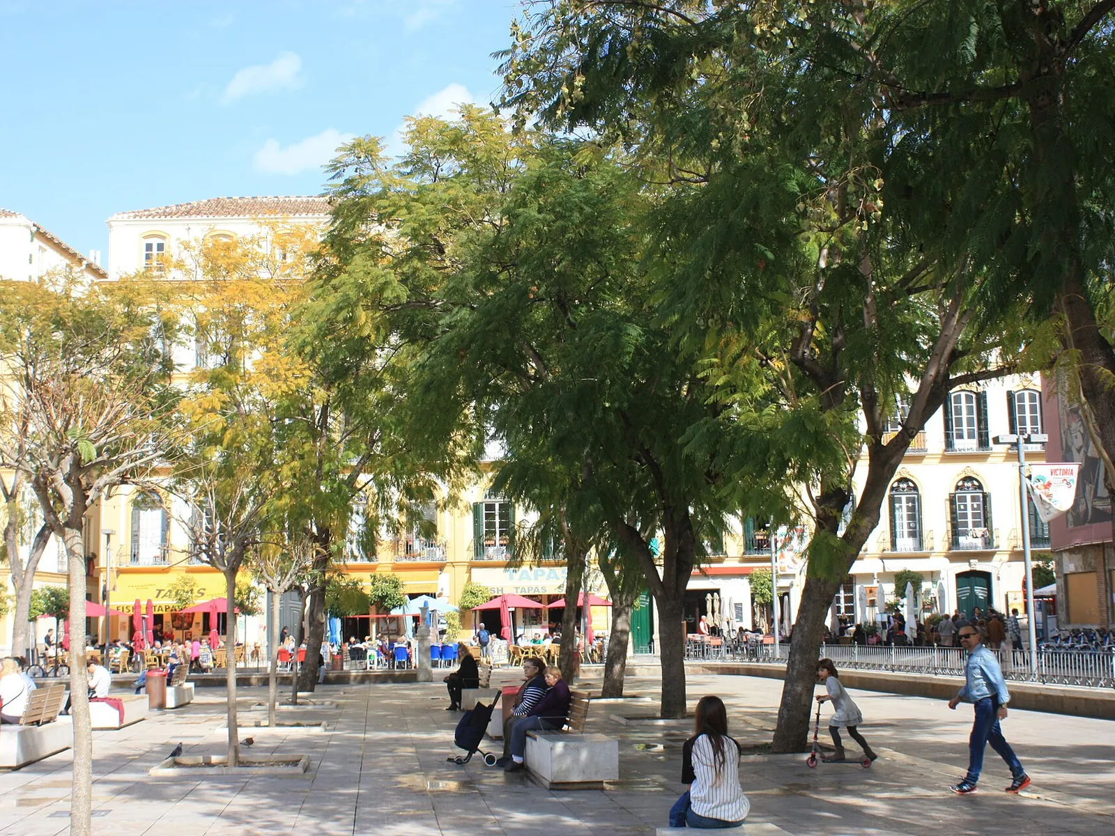 Plaza de la Merced in Malaga